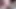 Tombul ve iri güzel kadın yarak emiyor ve porno seçmelerinde sikiliyor