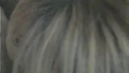 Yan görünüm kafası