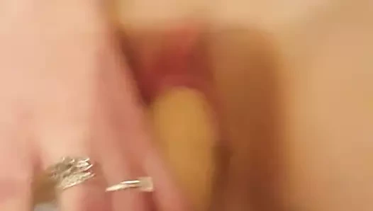 kedi içinde canavar