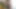 Tamamen doğal büyük memeli Scarlett Bloom süper ateşli zenci sikişebilir ve sert boşalıyor