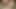 Amazon kabilesinden genç adamın Selva'da tanıştığı ilk adamla sikişmesi gerekiyor