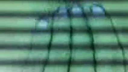 Bronzlaşma yatağında kedi parmaklama