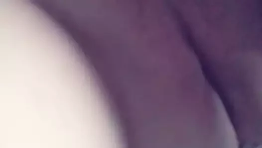 Lübnan kedi kız arkadaş