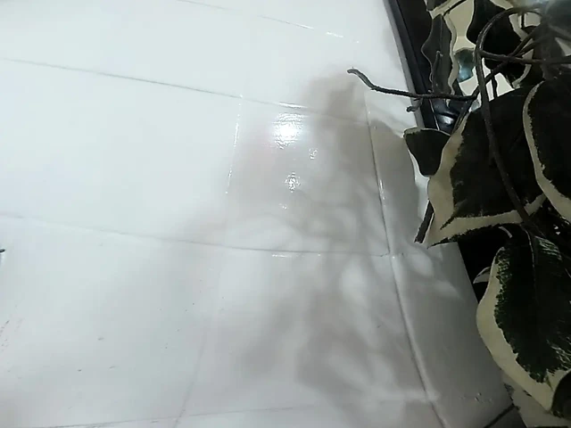 Lizzy Yum vr 2025 kenar #198