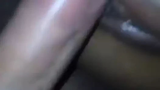 Derin köpek stil ıslak kedi