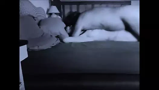 bağbozumu altmışlar