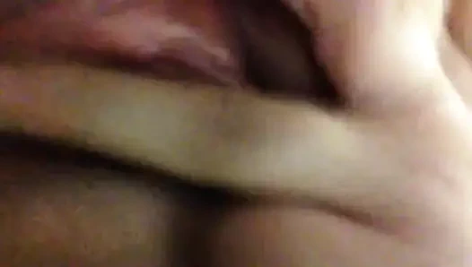 Sulu kedi dikizlemek