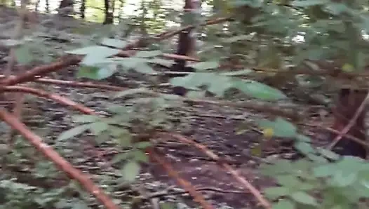 Geil im Schwanenseepark