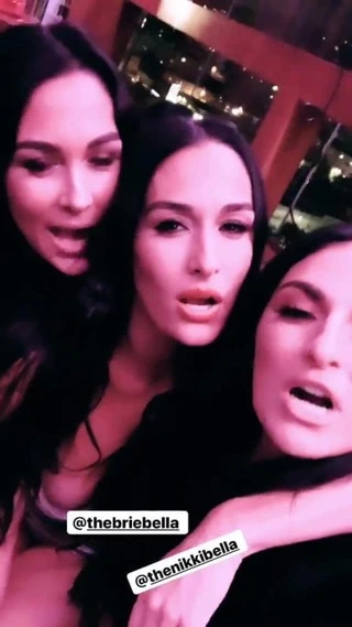 Wwe - sonya deville, nikki bella ve brie bella selfie