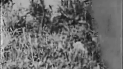 Retro porno arşivi - hard024