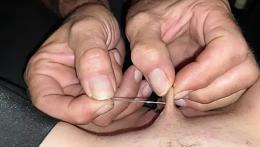 Lara iğneleri seviyor