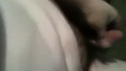 Small cock jerk and cum
