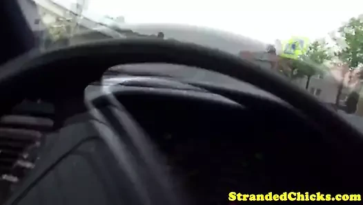 telli Çek amatör ile deldi KEDİ alır çarptı