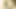 Seksi orta yaşlı seksi kadın sıkı göt deliğiyle yarağa binerken inliyor