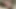 Seksi Çoklu Hatun Sert Seansları