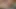 Sıkı pembe kıllı amcığımla oynanıyor