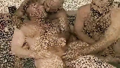 Trio de Osos