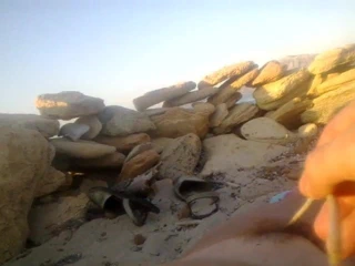 Sahilde küçük bir şaplak