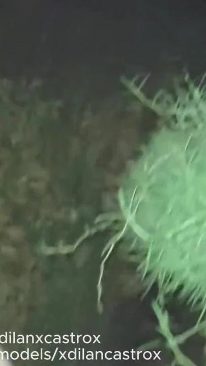 SEYIR YAPARKEN YARAĞA AÇ BIR SÜRTÜK BULDUM VE SONUNDA TERK EDILMIŞ EVDE ONU SIKTIM | Klip 2