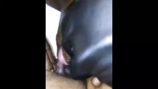 Abanoz fıskiye boşalan ve darbeler benim horoz