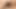 Asuka'nın baştan çıkarıcı oral seksi doyumsuz zevk arzusunu sergiliyor