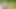Amazon hatunlarla açık havada üçlü festivali