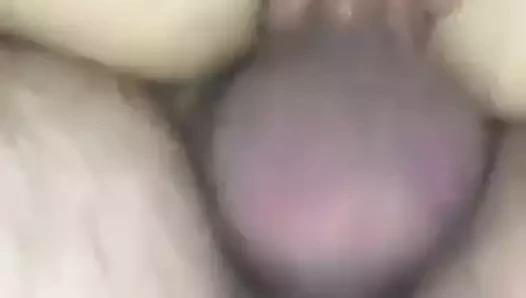 Islak kedi becerdin 2