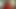 Harika esmer kız kırmızı dildo ve kız arkadaşının sıkı amını emiyor