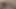 Pembe saçlı yol savaşçısı Hotkinkyjo mrhankey'den büyük uzaylı dildoyla götünü sikiyor ve yolda sarkıyor