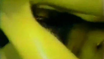 bilimsel sürtüşme