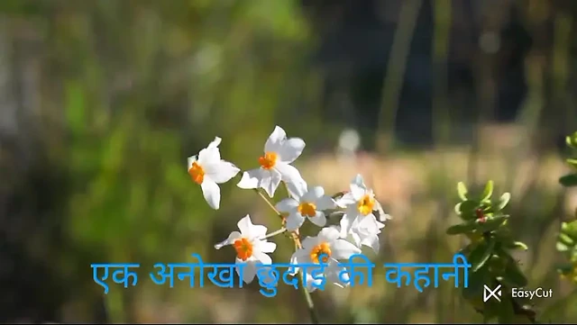 Neha aur Krish ki Chudai (Audio Story)