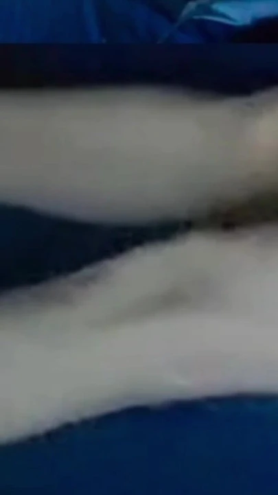 1.9 inç (4.8 cm) ereksiyon uzunluğu ve 1.9 inç ereksiyon çevresi çok minik ve minyon kız vücudu ve bacakları ile çok ince sert mikropenis | Klip 2