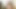Jenny McClain bikinili