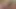 yeme anal hanımları KEDİ