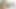 Sıcak transeksüel venus lux seviyor beceriyor babes ıslak sıkı pus