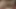 Üvey kız kardeş intikam almaya karar verdi ve üvey erkek kardeşiyle video çekti