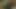 Ryanreos - büyük yarak bağımlısı seksi kız, gırtlağına kadar alma, boşalma, ateşli yoğun anal