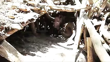 Brenda - garip bir manzarada seks şovu