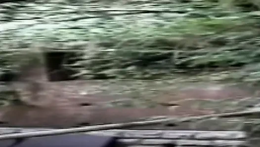 Genç hassas trannies 15 3