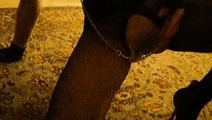 Gaby0sucht2- beni zincirler ve itaatkar