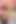 Savanna's Banana Masturbation Frenzy: a Fruitful Experiment