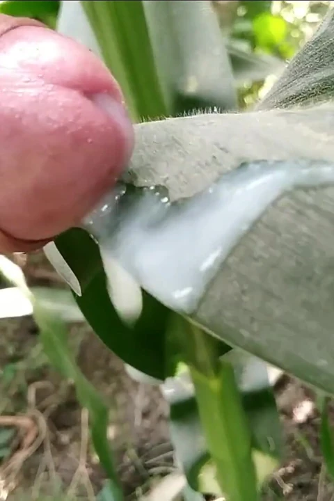 Köyde mastürbasyon ve yaprak üzerine boşalma