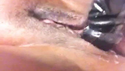 fışkıran kedi suyu