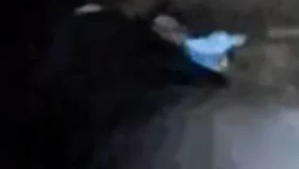 king baise en boite de nuit