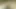 Lucy Thai anal ve çifte penetrasyona yol açan ateşli açık havada üçlü grup seks fotoğraf çekimine giriyor