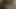 Kıvrımlı Rasta Kız Kamerada Aldatıldı