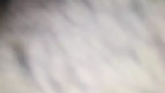 Yeme ona sulu kalın ıslak kedi