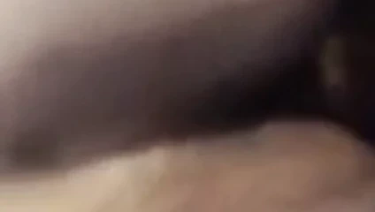 yağ domuz alır fucked