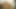 amatör çift içinde pornocasting