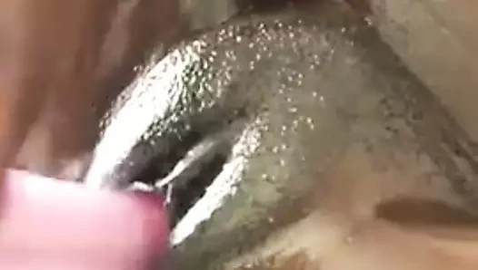 Yağlanmış abanoz, hızlı kasılmaları baştan çıkarır 11:4040